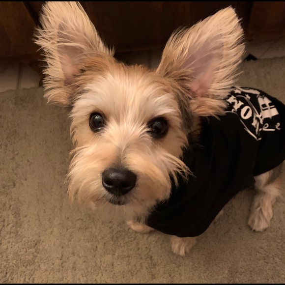 Meet your Posher, Steven - Picture 3 of 8